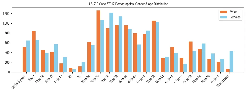 Bar chart showing the population distribution of US ZIP Code 37917 by age group and gender, based on 2023 ACS data.