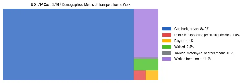 Treemap showing means of transportation to work distribution in US ZIP Code 37917.