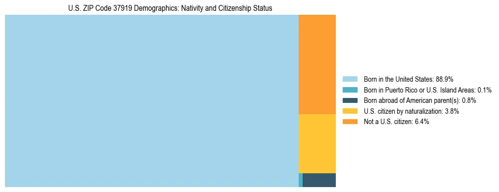 Treemap showing the population distribution by nativity and citizenship status in US ZIP Code 37919 based on U.S. Census data.