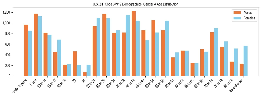 Bar chart showing the population distribution of US ZIP Code 37919 by age group and gender, based on 2023 ACS data.