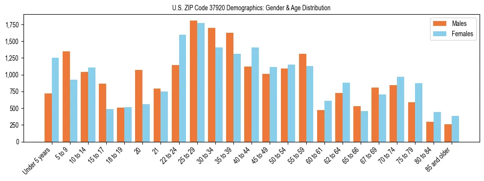 Bar chart showing the population distribution of US ZIP Code 37920 by age group and gender, based on 2023 ACS data.