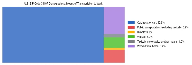 Treemap showing means of transportation to work distribution in US ZIP Code 38107.