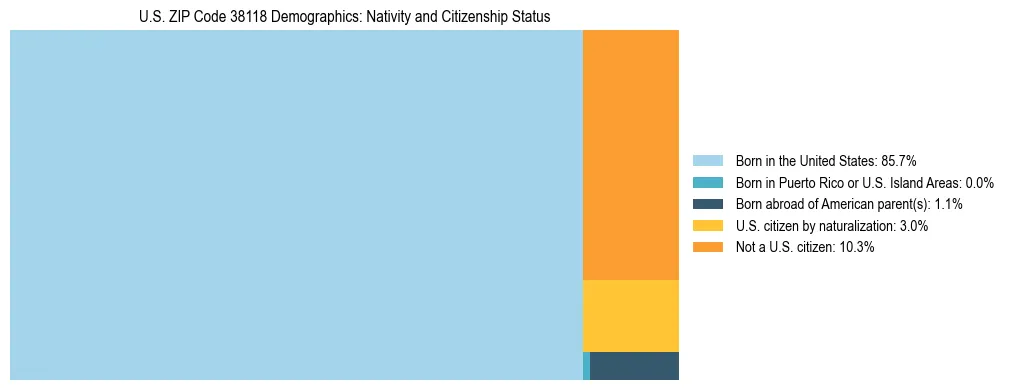 Treemap showing the population distribution by nativity and citizenship status in US ZIP Code 38118 based on U.S. Census data.