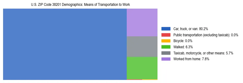 Treemap showing means of transportation to work distribution in US ZIP Code 38201.