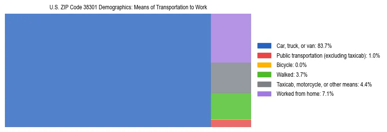 Treemap showing means of transportation to work distribution in US ZIP Code 38301.