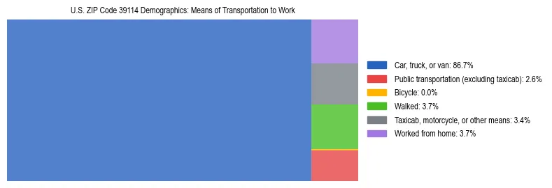 Treemap showing means of transportation to work distribution in US ZIP Code 39114.
