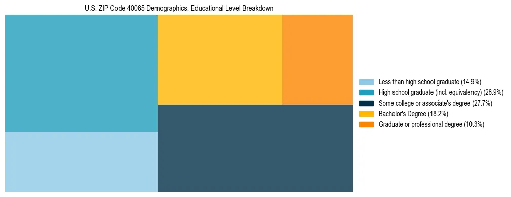 Treemap chart illustrating the educational attainment breakdown for population 25 years and over in US ZIP Code 40065.