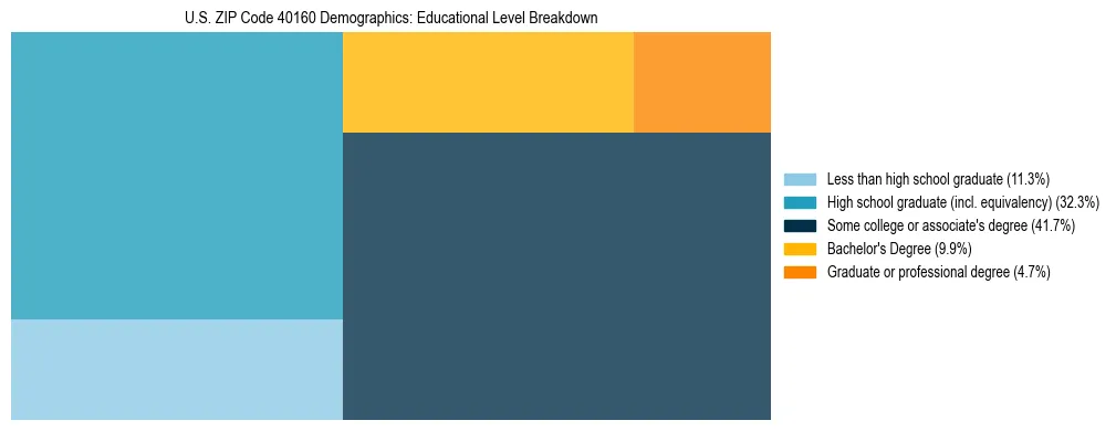 Treemap chart illustrating the educational attainment breakdown for population 25 years and over in US ZIP Code 40160.