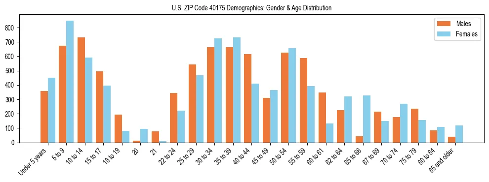 Bar chart showing the population distribution of US ZIP Code 40175 by age group and gender, based on 2023 ACS data.