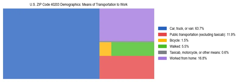Treemap showing means of transportation to work distribution in US ZIP Code 40203.