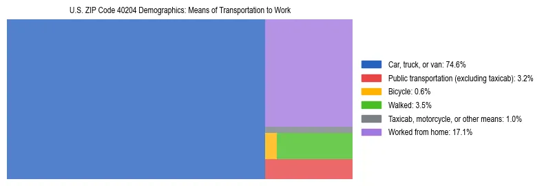 Treemap showing means of transportation to work distribution in US ZIP Code 40204.