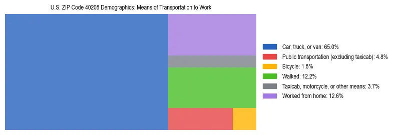 Treemap showing means of transportation to work distribution in US ZIP Code 40208.