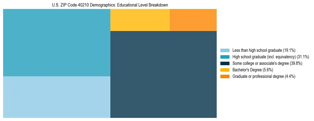 Treemap chart illustrating the educational attainment breakdown for population 25 years and over in US ZIP Code 40210.