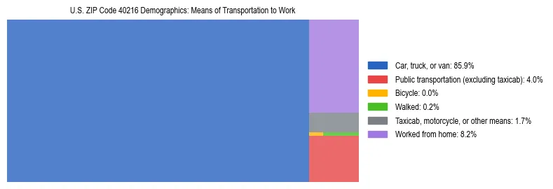 Treemap showing means of transportation to work distribution in US ZIP Code 40216.