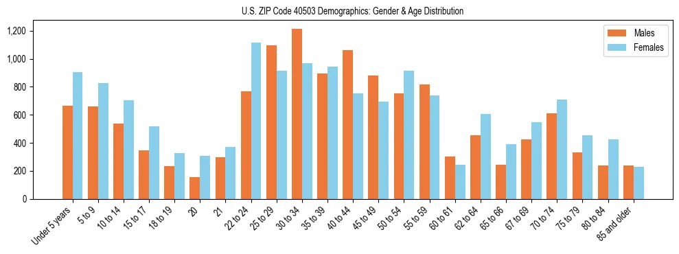Bar chart showing the population distribution of US ZIP Code 40503 by age group and gender, based on 2023 ACS data.