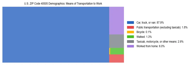 Treemap showing means of transportation to work distribution in US ZIP Code 40505.