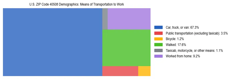Treemap showing means of transportation to work distribution in US ZIP Code 40508.