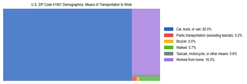 Treemap showing means of transportation to work distribution in US ZIP Code 41001.