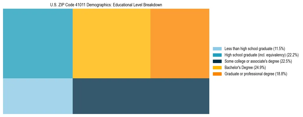 Treemap chart illustrating the educational attainment breakdown for population 25 years and over in US ZIP Code 41011.