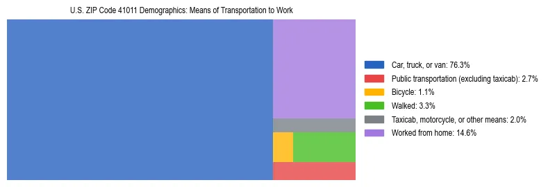 Treemap showing means of transportation to work distribution in US ZIP Code 41011.