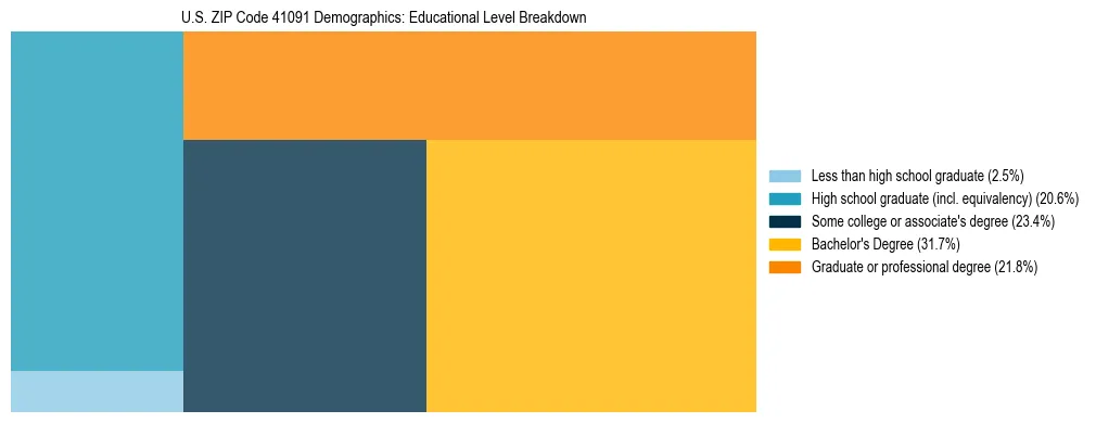 Treemap chart illustrating the educational attainment breakdown for population 25 years and over in US ZIP Code 41091.