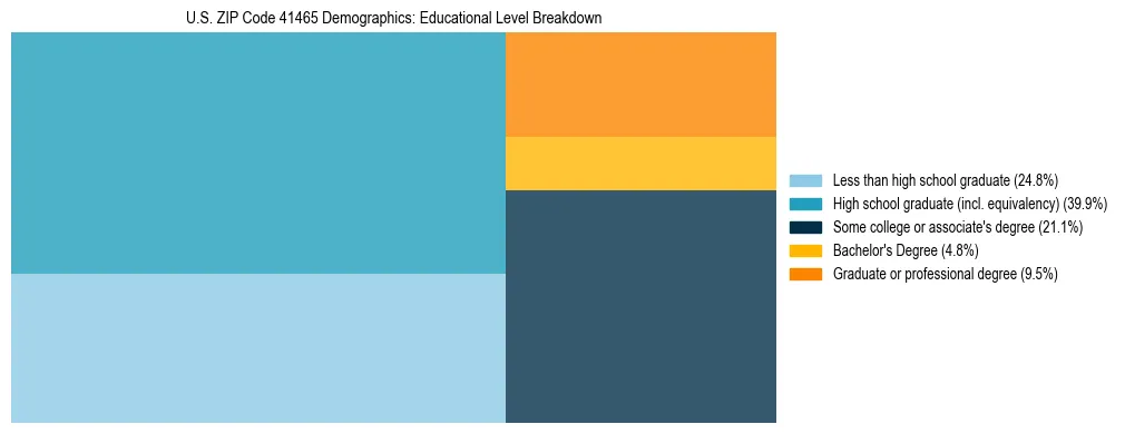 Treemap chart illustrating the educational attainment breakdown for population 25 years and over in US ZIP Code 41465.
