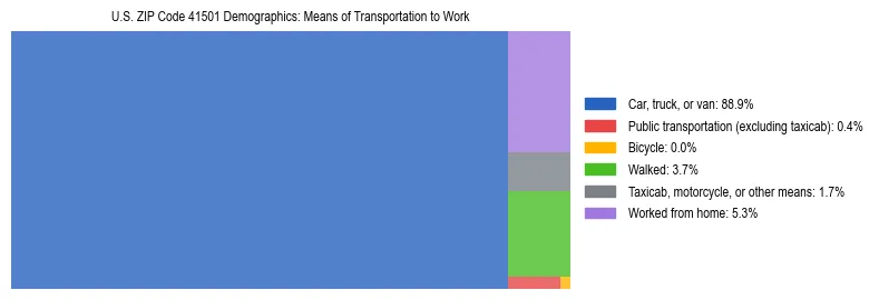 Treemap showing means of transportation to work distribution in US ZIP Code 41501.