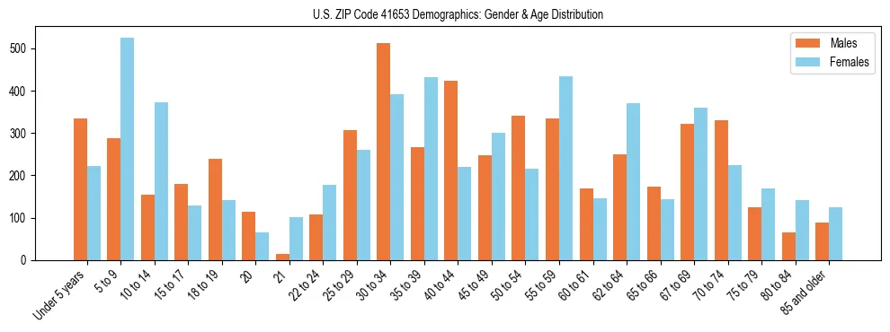 Bar chart showing the population distribution of US ZIP Code 41653 by age group and gender, based on 2023 ACS data.