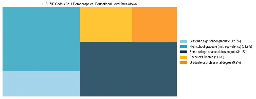 Treemap chart illustrating the educational attainment breakdown for population 25 years and over in US ZIP Code 42211.