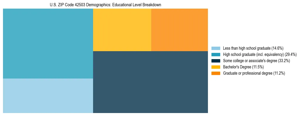 Treemap chart illustrating the educational attainment breakdown for population 25 years and over in US ZIP Code 42503.