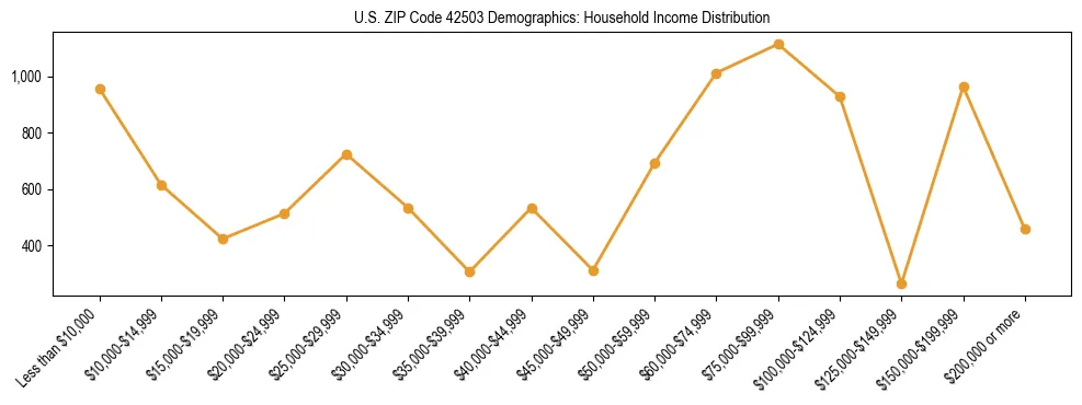 Horizontal bar chart showing household income distribution in US ZIP Code 42503.