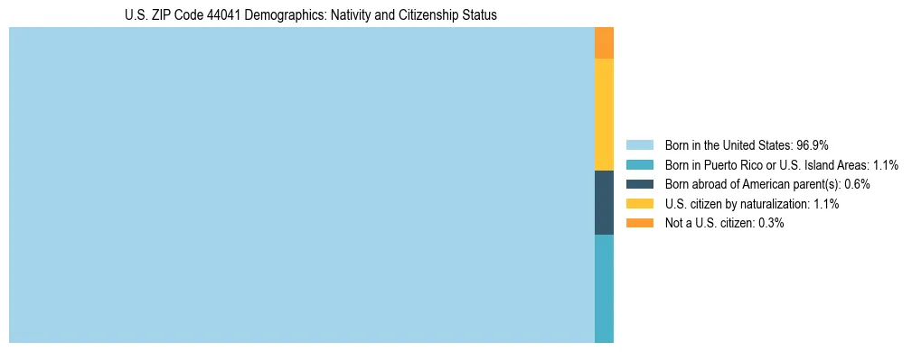 Treemap showing the population distribution by nativity and citizenship status in US ZIP Code 44041 based on U.S. Census data.