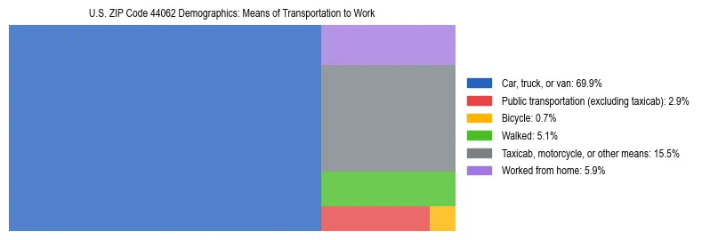 Treemap showing means of transportation to work distribution in US ZIP Code 44062.