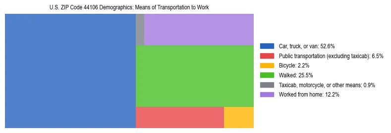 Treemap showing means of transportation to work distribution in US ZIP Code 44106.