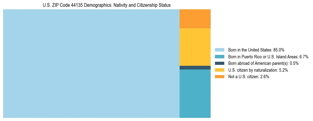 Treemap showing the population distribution by nativity and citizenship status in US ZIP Code 44135 based on U.S. Census data.