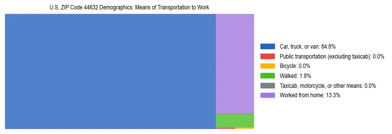 Treemap showing means of transportation to work distribution in US ZIP Code 44632.