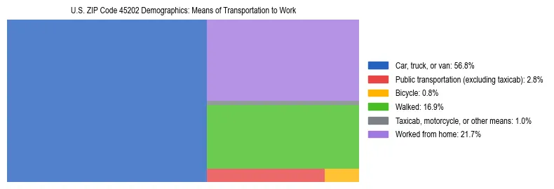Treemap showing means of transportation to work distribution in US ZIP Code 45202.