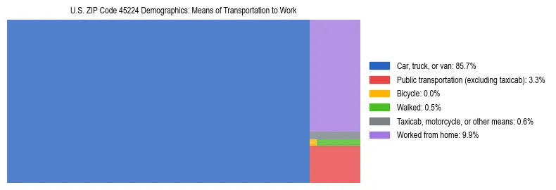 Treemap showing means of transportation to work distribution in US ZIP Code 45224.