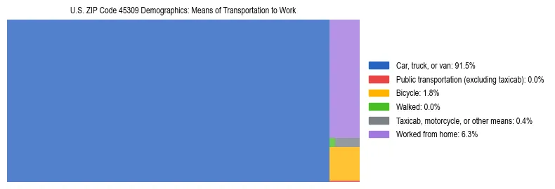 Treemap showing means of transportation to work distribution in US ZIP Code 45309.