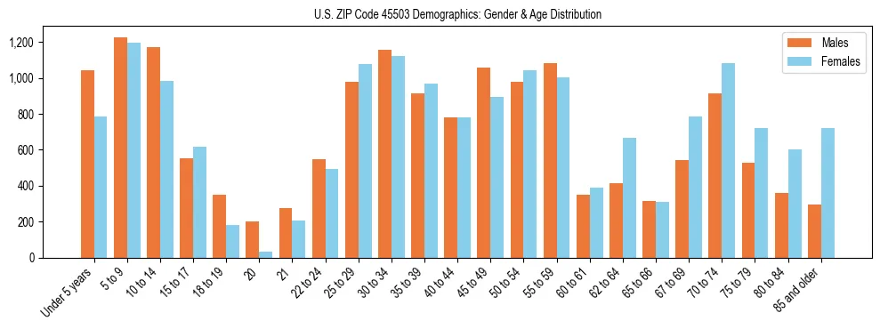 Bar chart showing the population distribution of US ZIP Code 45503 by age group and gender, based on 2023 ACS data.