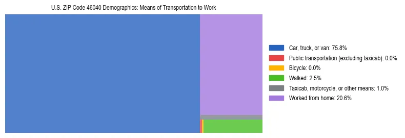 Treemap showing means of transportation to work distribution in US ZIP Code 46040.