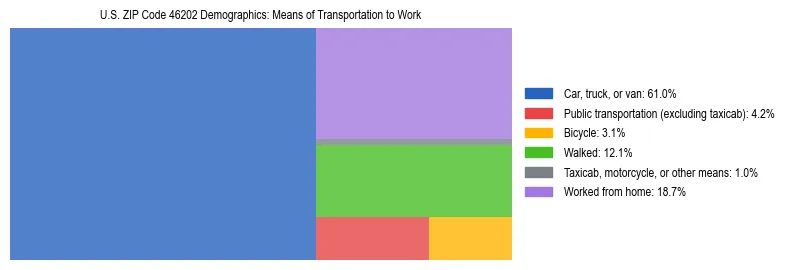 Treemap showing means of transportation to work distribution in US ZIP Code 46202.