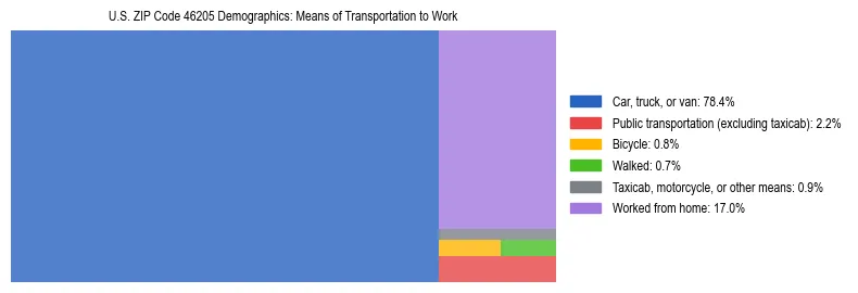 Treemap showing means of transportation to work distribution in US ZIP Code 46205.