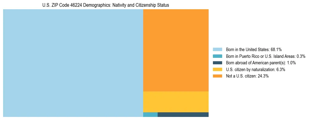 Treemap showing the population distribution by nativity and citizenship status in US ZIP Code 46224 based on U.S. Census data.
