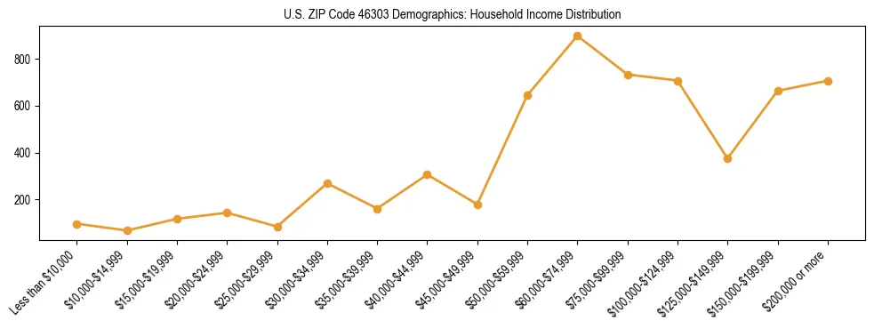 Horizontal bar chart showing household income distribution in US ZIP Code 46303.