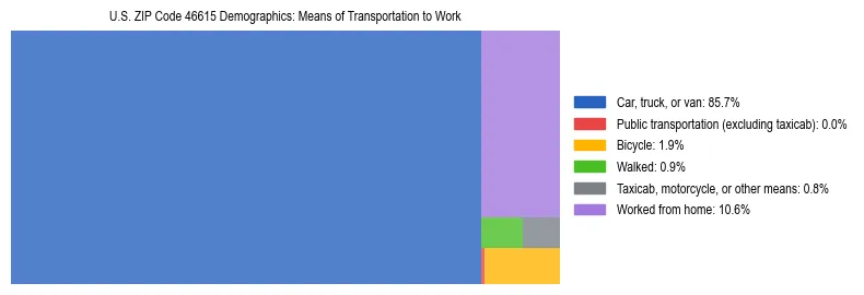 Treemap showing means of transportation to work distribution in US ZIP Code 46615.