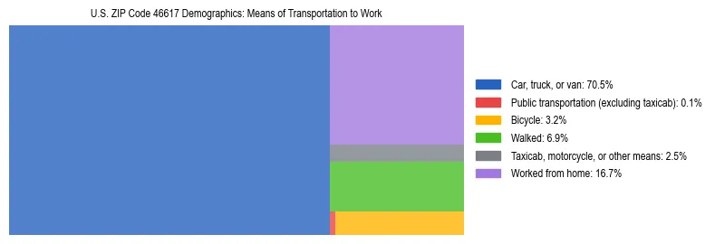 Treemap showing means of transportation to work distribution in US ZIP Code 46617.