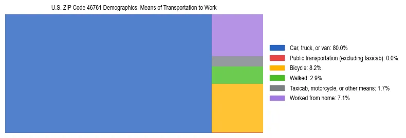 Treemap showing means of transportation to work distribution in US ZIP Code 46761.