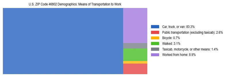 Treemap showing means of transportation to work distribution in US ZIP Code 46802.