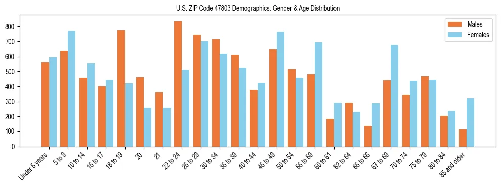 Bar chart showing the population distribution of US ZIP Code 47803 by age group and gender, based on 2023 ACS data.